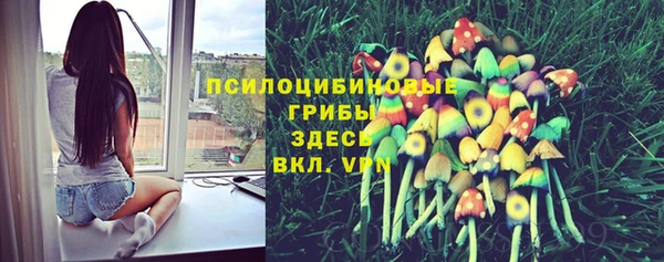 индика Алексеевка