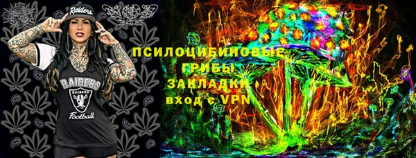 индика Алексеевка